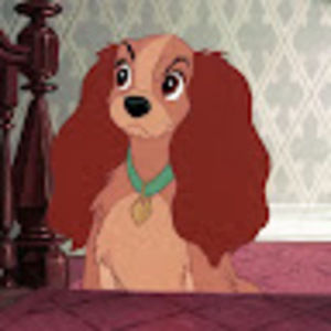 Meet your Posher, Keira